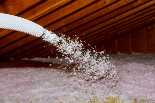 Best Specialized Insulation Services in Lake Wilderness, VA