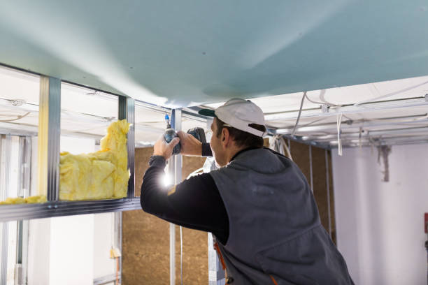Best Insulation Maintenance and Repair in Lake Wilderness, VA