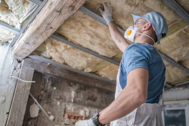 Best Fiberglass Insulation in Lake Wilderness, VA