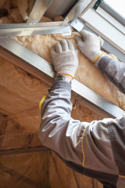 Best Fiberglass Insulation in Lake Wilderness, VA