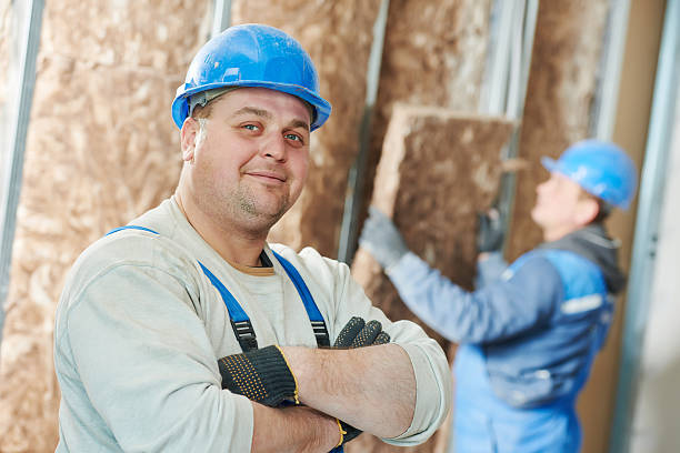 Best Fiberglass Insulation in Lake Wilderness, VA
