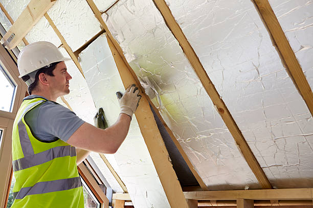 Types of Insulation We Offer in Lake Wilderness, VA
