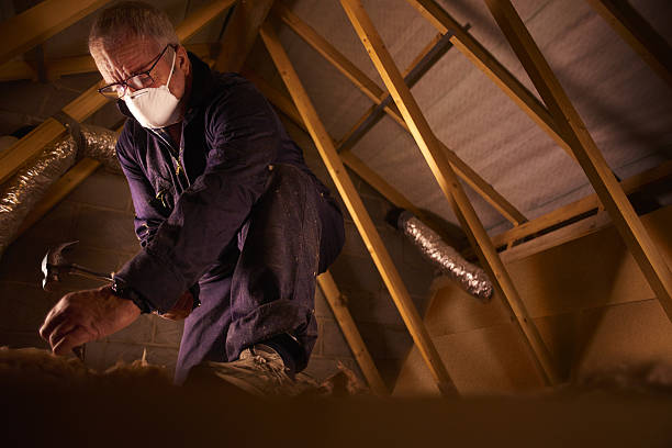 Best Energy Efficiency Insulation in Lake Wilderness, VA